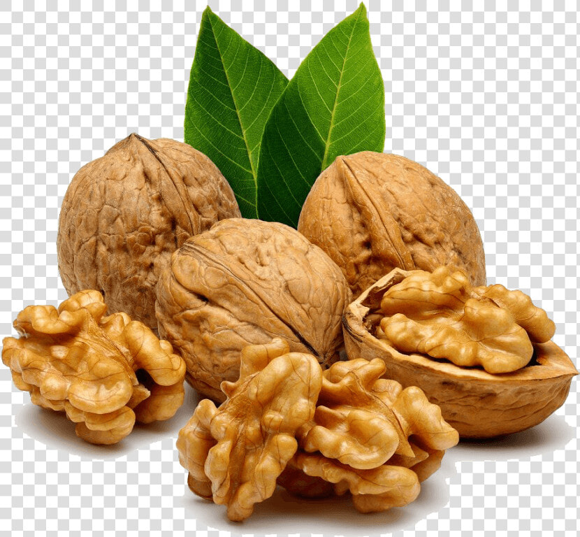 Walnuts Png  Transparent PngTransparent PNG