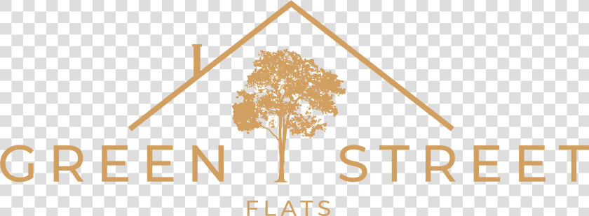 Green Street Flats Rentals   Tree  HD Png DownloadTransparent PNG