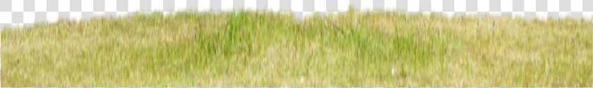  hierba   Lawn  HD Png DownloadTransparent PNG