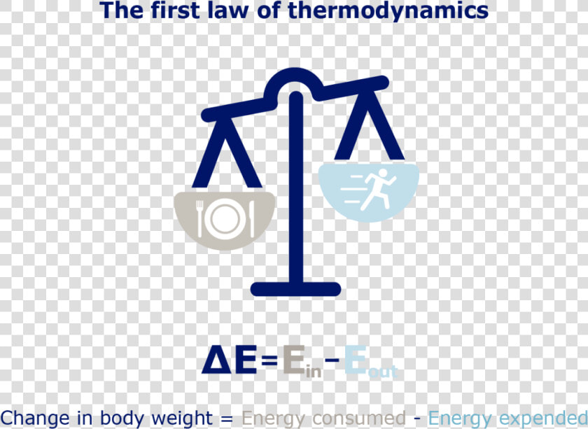 Obesity Thermodynamics   Graphic Design  HD Png DownloadTransparent PNG