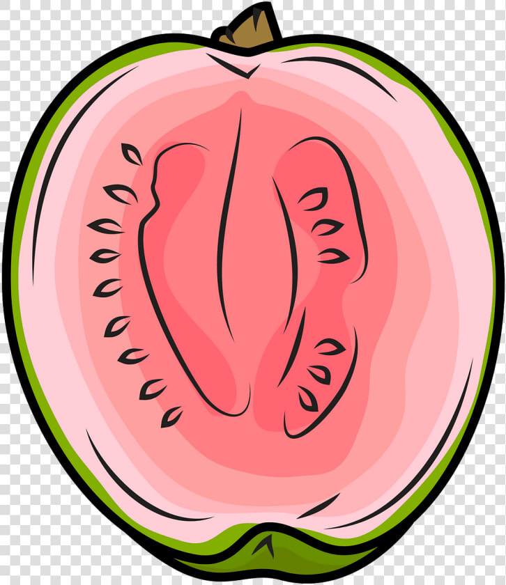 Dibujos De La Guayaba  HD Png DownloadTransparent PNG