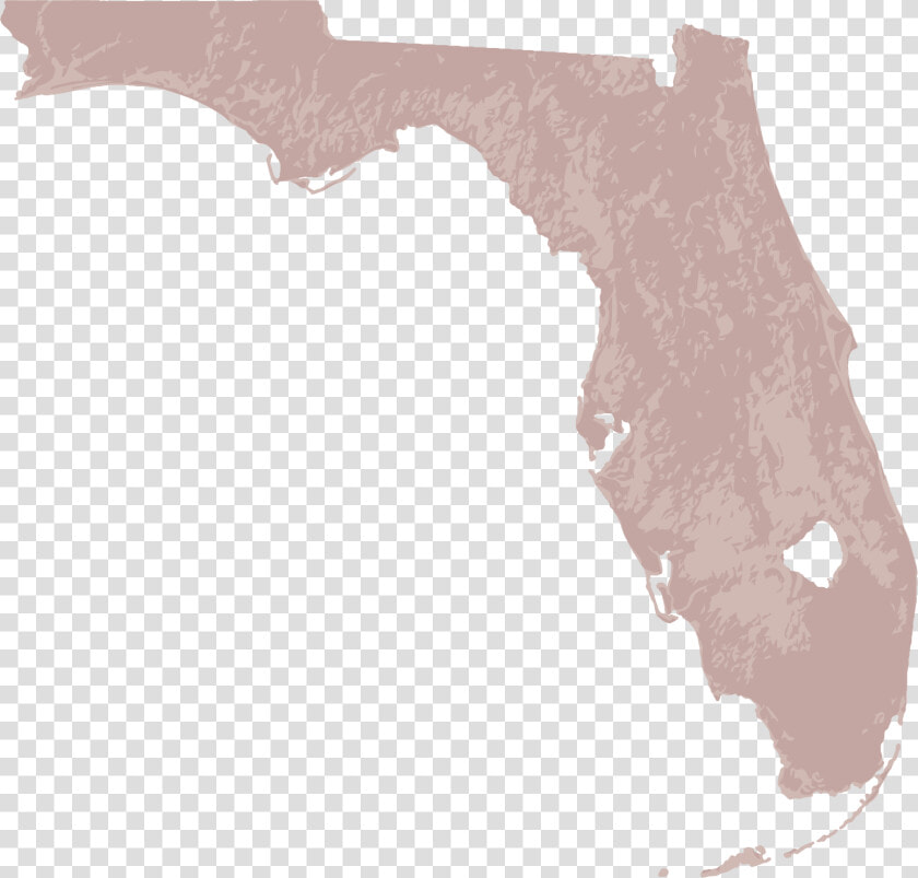 Geographical Map Of Florida  HD Png DownloadTransparent PNG