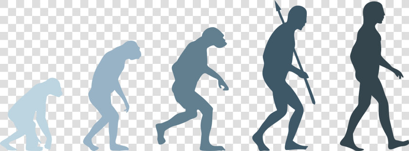 Human Evolution Png   Evolution Of Man Png  Transparent PngTransparent PNG