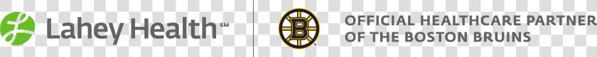 Boston Bruins  HD Png DownloadTransparent PNG