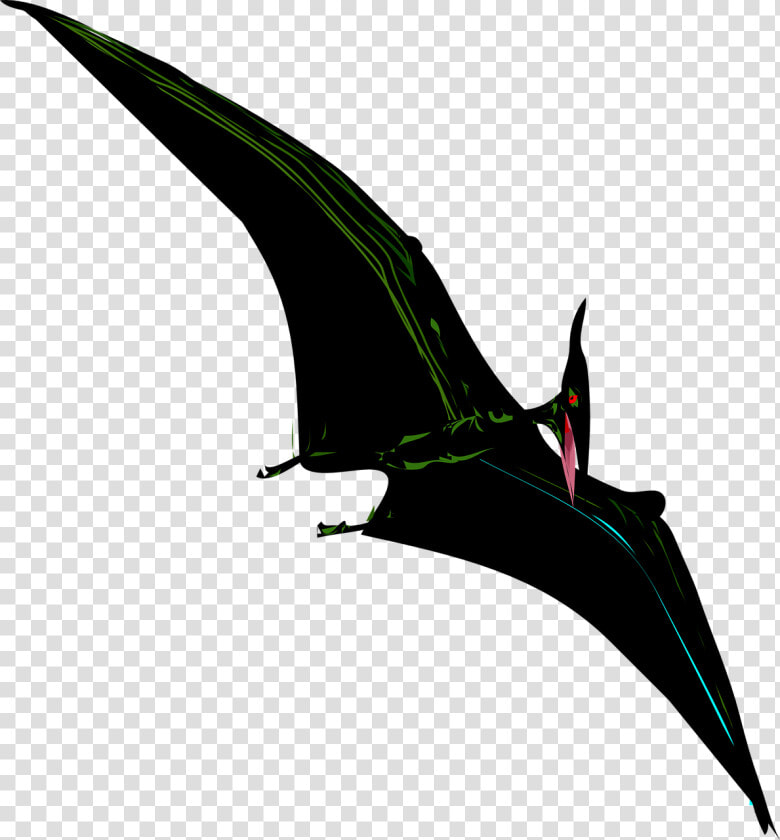 Pterodactyl  Dinosaur  Flying  Bird  Prehistoric   Prehistoric Bat Like Bird  HD Png DownloadTransparent PNG