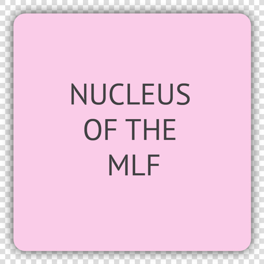 Nucleus Of The Mlf  HD Png DownloadTransparent PNG