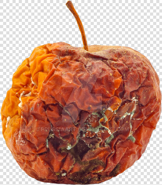 Apple   Chemical Change Rotting Fruit  HD Png DownloadTransparent PNG