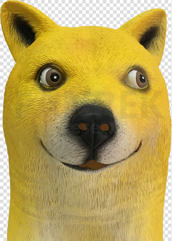 Doge Kabosu Atsuko Sato Canis Lupus Familiaris Cosplay   Canis Lupus Familiaris Doge  HD Png DownloadTransparent PNG