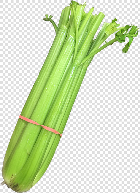 Celery   Leek   Leek  HD Png DownloadTransparent PNG