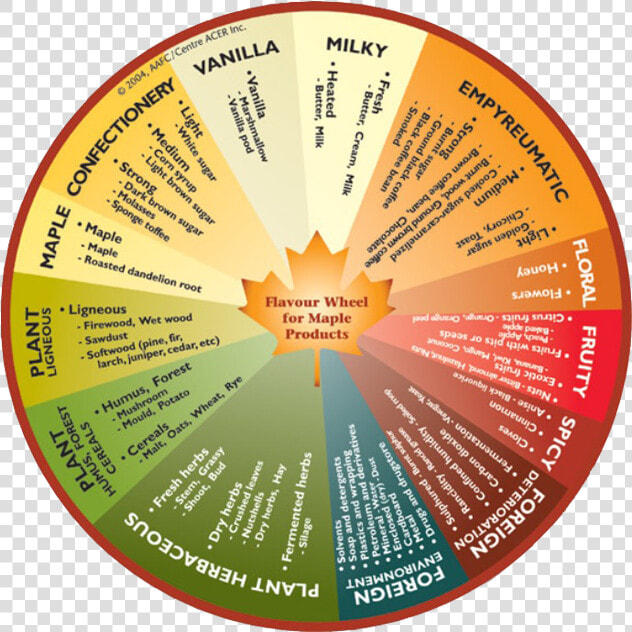 Ski S Sugar Shack Merrill Wi   Flavour Wheel  HD Png DownloadTransparent PNG