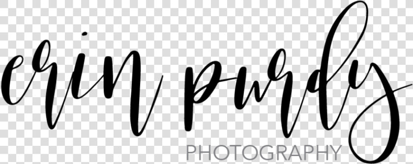 Erin Purdy Photography  HD Png DownloadTransparent PNG