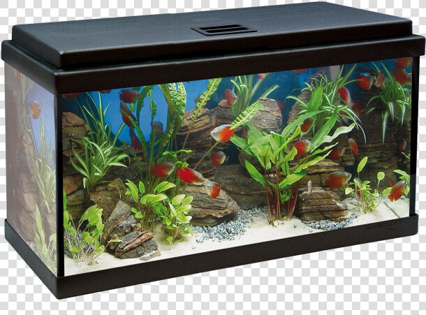 Acuario Aqualed 64l   Acuario De 100 Litros Medidas  HD Png DownloadTransparent PNG