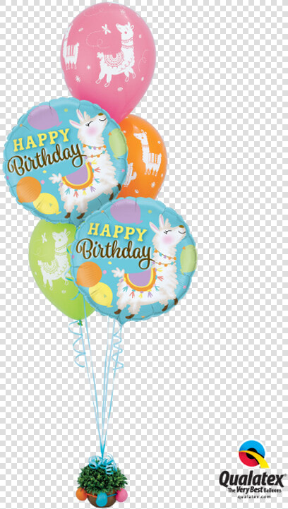 Qualatex Llama Balloons  HD Png DownloadTransparent PNG