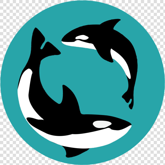   username  Is Out Of Office   Killer Whale  HD Png DownloadTransparent PNG