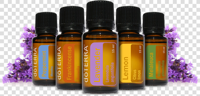 Clip Art Doterra Png   Doterra Oils  Transparent PngTransparent PNG