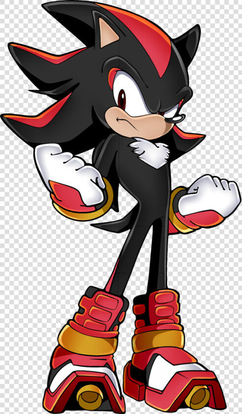 Transparent Shadow The Hedgehog Logo Png   Sonic Boom Shadow  Png DownloadTransparent PNG