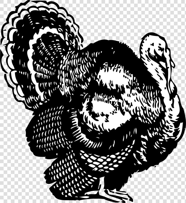 Turkey Svg Clip Arts   Turkey Clipart Black And White  HD Png DownloadTransparent PNG