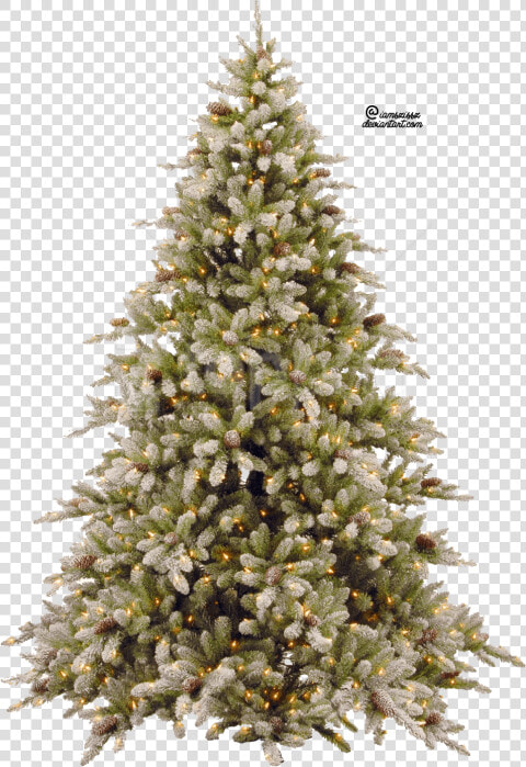 Download Christmas Tree Clipart Png Photo   Snowy Christmas Tree Png  Transparent PngTransparent PNG