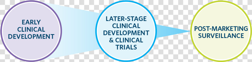 Clinical Drug Dev Web Graphic Transparent Bkgd   Discovery And Preclinical  HD Png DownloadTransparent PNG