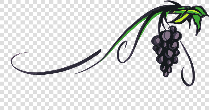 Grapevine Clipart Red Grape   Wine Grape Clip Art  HD Png DownloadTransparent PNG