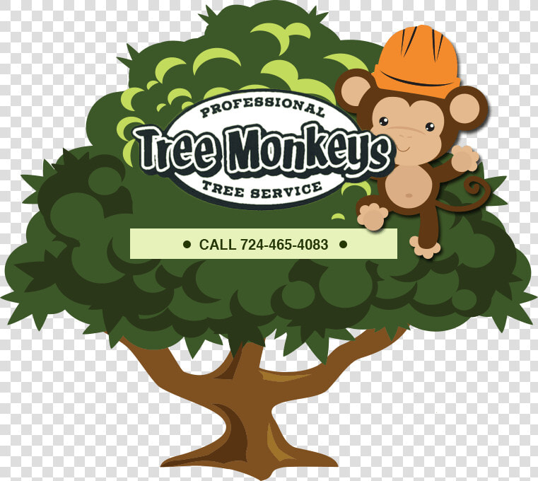 Tree Monkey Tree Service   Green Monkey Tree Service  HD Png DownloadTransparent PNG