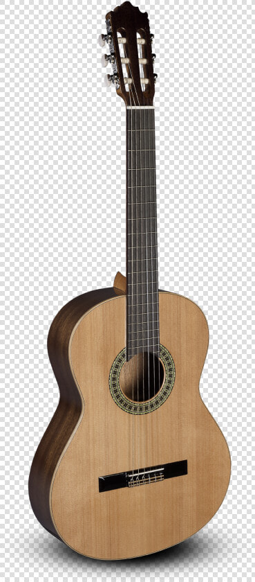 Classical Cutaway Alhambra Guitar Steel string African   Alhambra Nature Cw Ez  HD Png DownloadTransparent PNG