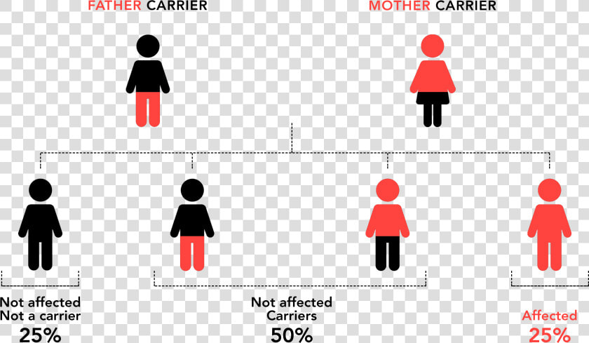 Genetic Compatibility Test  HD Png DownloadTransparent PNG