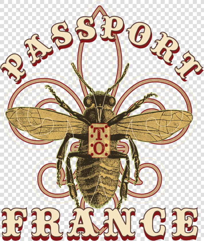 Pptf Logo Trans Back   Net winged Insects  HD Png DownloadTransparent PNG