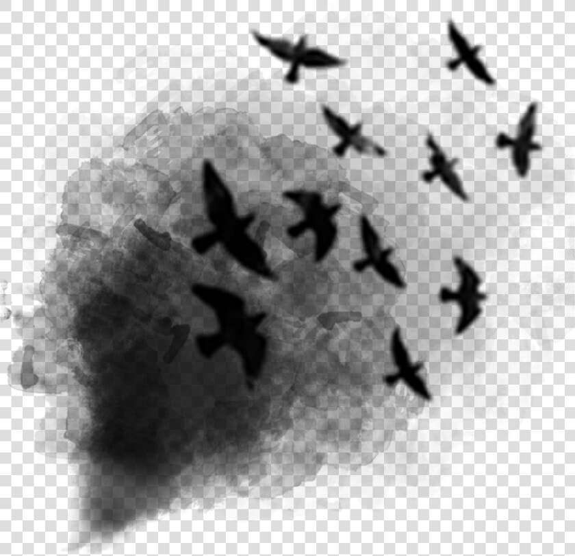 Black Smoke Birds Afterdark Ftestickers   Transparent Smoke Bird Png  Png DownloadTransparent PNG