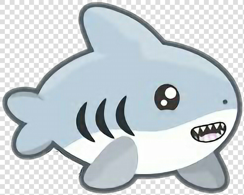  petsandanimals cute  kawaii  requin  shark   Shark Kawaii  HD Png DownloadTransparent PNG