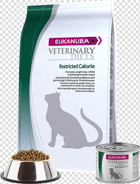 Eukanuba Veterinary Diets Restricted Calorie For Cats   Eukanuba Veterinary Diets Intestinal  HD Png DownloadTransparent PNG