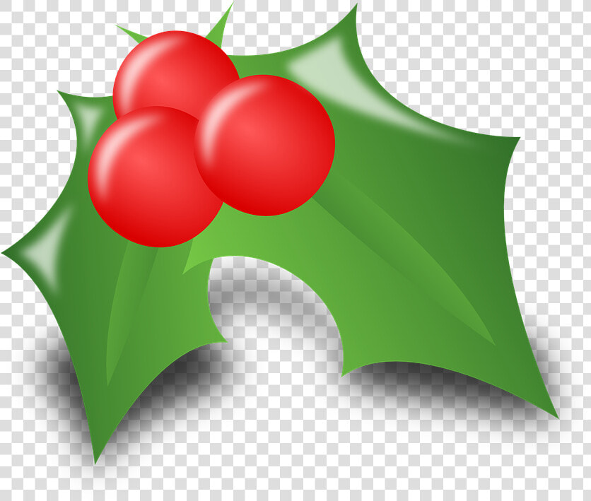 Holly  Ilex  Leaves  Thorny  Spiky  Christmas  Holidays   Christmas Decorations Art  HD Png DownloadTransparent PNG