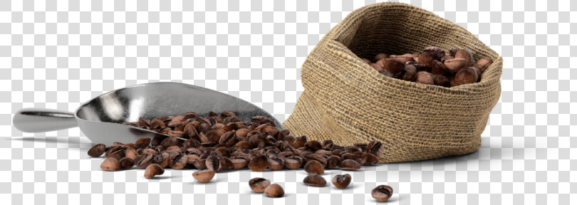 Coffee St Pete   Coffee Mockup Scene Creator  HD Png DownloadTransparent PNG