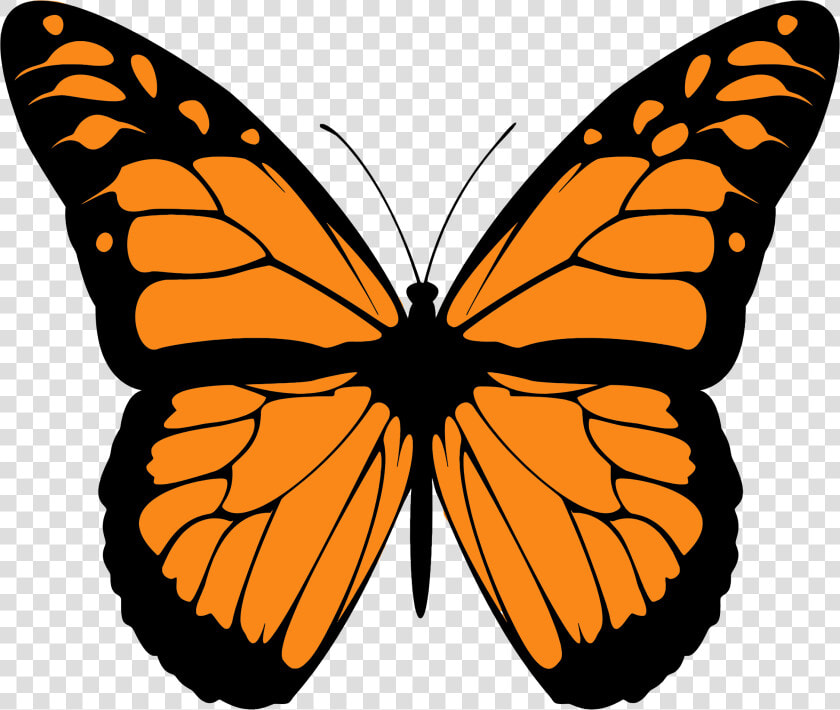 Monarch Butterfly Png High quality Image   Monarch Butterfly Wings  Transparent PngTransparent PNG