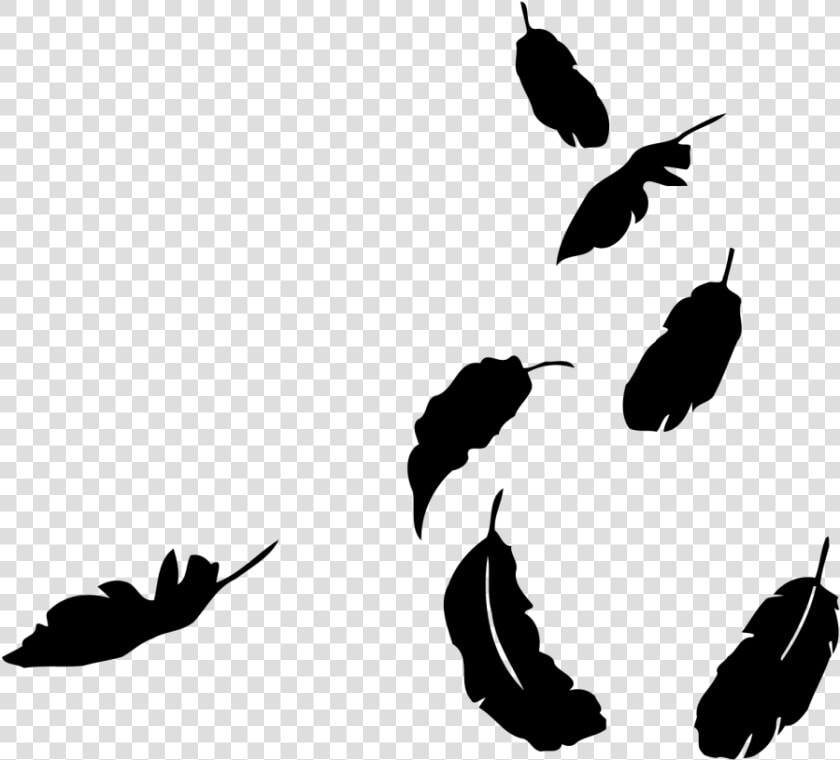 Transparent Falling Feathers Png  Png DownloadTransparent PNG