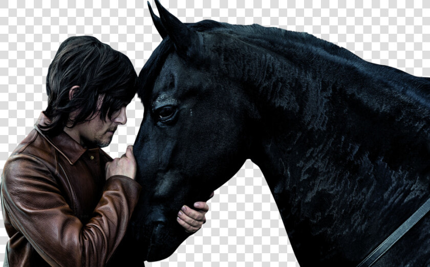 Walking Dead Horses Get Eaten  HD Png DownloadTransparent PNG