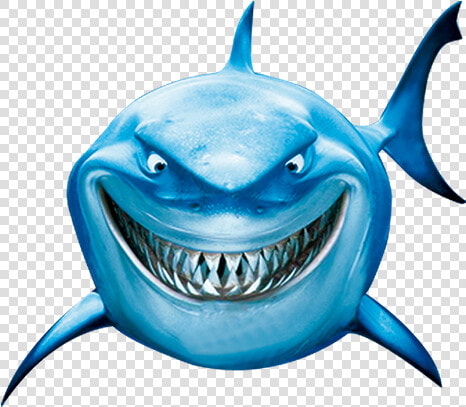 Clipart Mouth Great White Shark   Shark From Finding Nemo Transparent  HD Png DownloadTransparent PNG