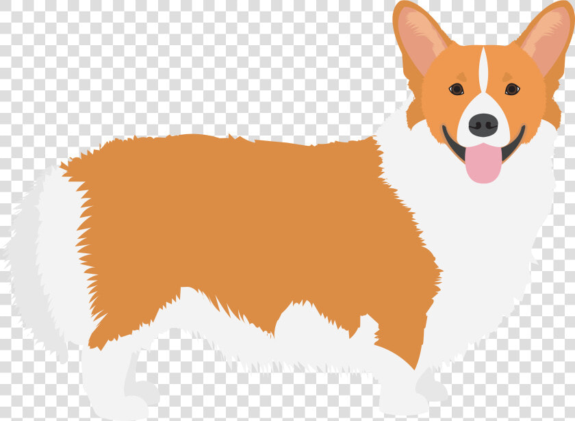 Pembroke Welsh Corgi Cardigan Welsh Corgi Icelandic   Corgi Png  Transparent PngTransparent PNG