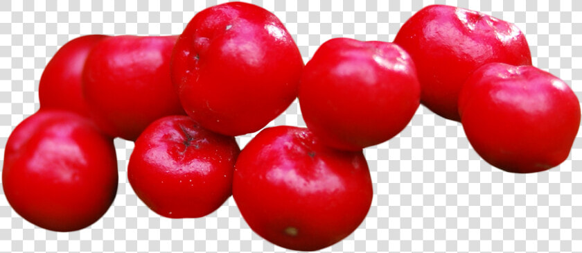 Cranberry Png Image   Cranberry  Transparent PngTransparent PNG