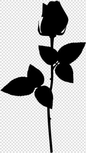 Rosebud Stem Png Image Clipart   Transparent Background Rose Png  Png DownloadTransparent PNG