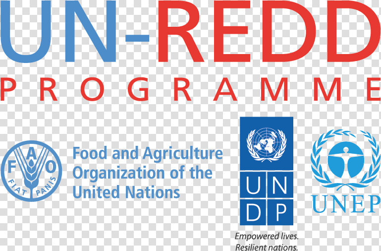 Un Redd Programme Logo  HD Png DownloadTransparent PNG