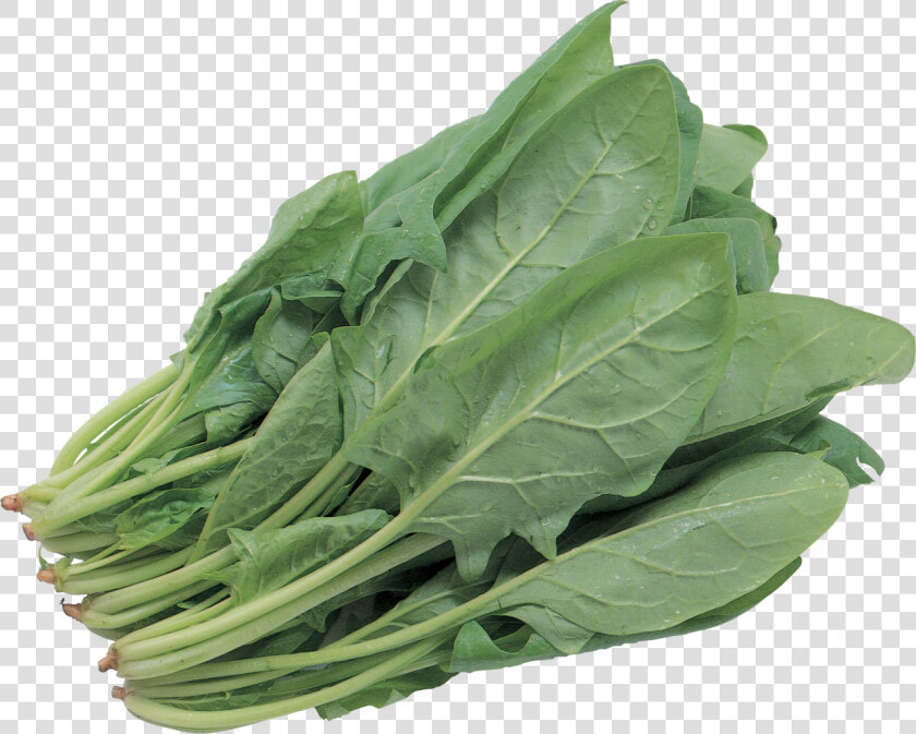 Salad Png Image   Green Leafy Vegetables Png  Transparent PngTransparent PNG