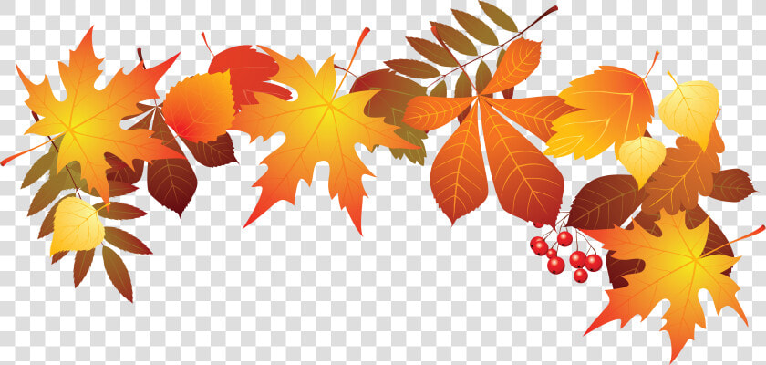 World Teachers Leaf Withered Leaves Transprent Png   Fall Leaves Transparent Background  Png DownloadTransparent PNG