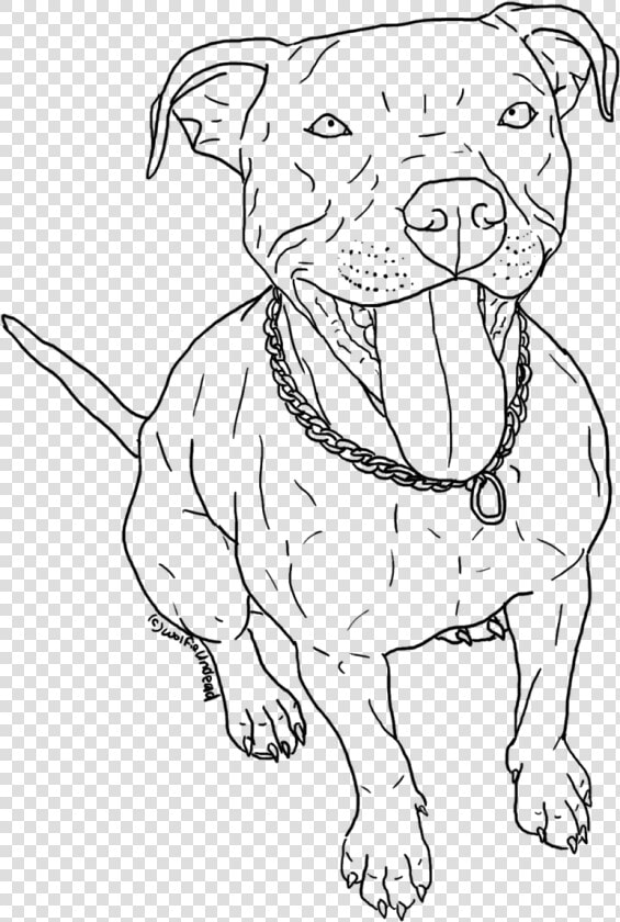 English Bulldog Red Nose Coloring Page  Printable English  HD Png DownloadTransparent PNG