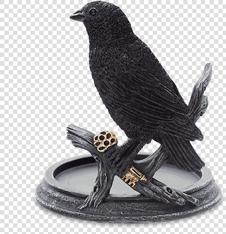 Raven Wrap Warmer   Scentsy Raven Warmer Wrap  HD Png DownloadTransparent PNG