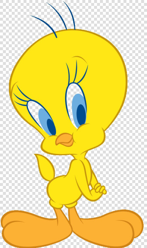 Tweety Bird Png Photo   Tweety Bird  Transparent PngTransparent PNG