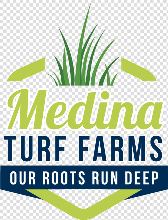 Medina Turf Farms 3   Graphic Design  HD Png DownloadTransparent PNG