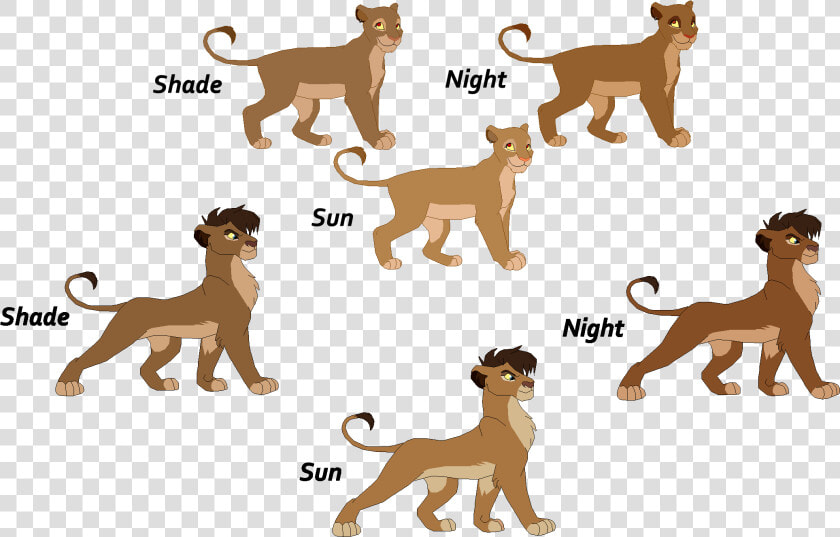 Lion King 3 Cubs By J dove   Cute Lion King Drawings  HD Png DownloadTransparent PNG