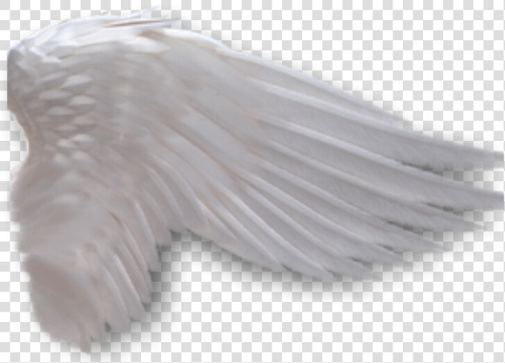 Angel Wings Anime Side View Download   Side View Angel Wing Transparent Background  HD Png DownloadTransparent PNG