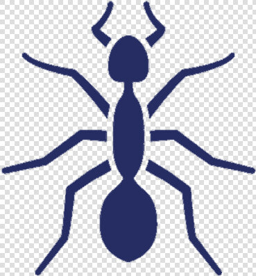 Ant uspest   Ant  HD Png DownloadTransparent PNG